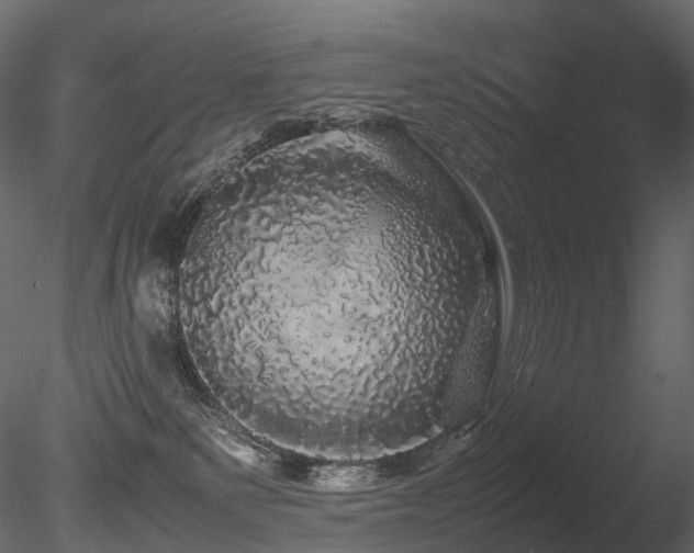X0000085840135200703161401