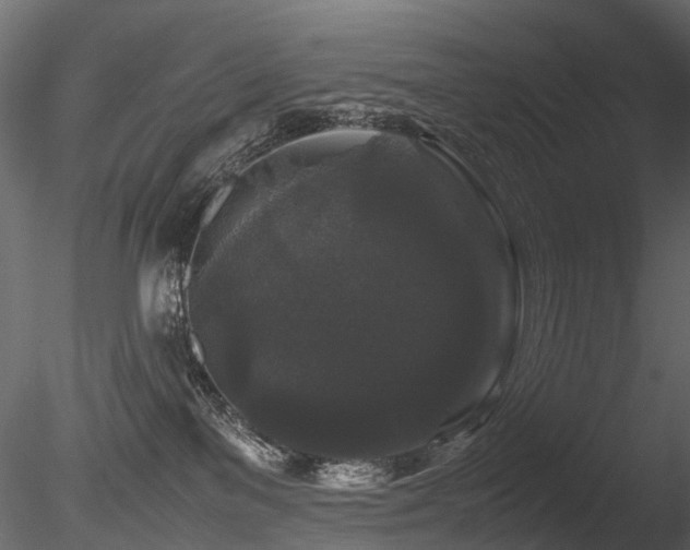 X0000085840137200703161401