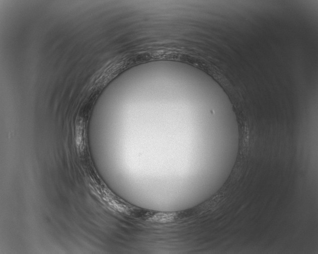 X0000085840138200703161401