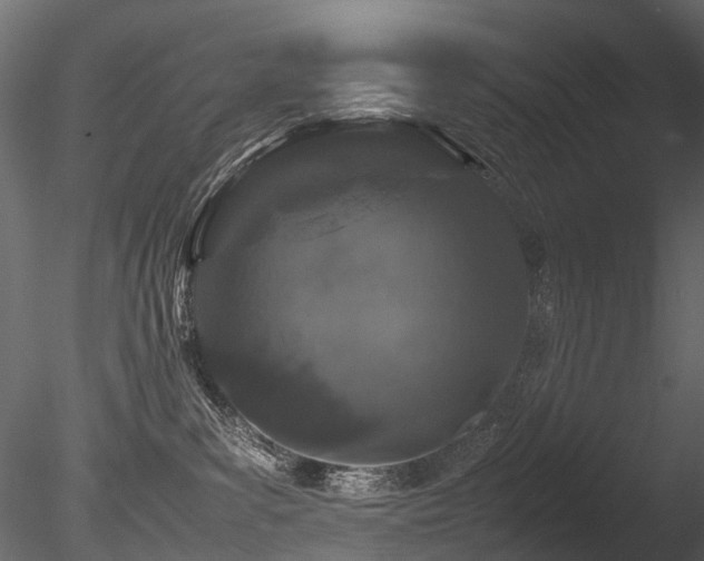 X0000085840139200703161401
