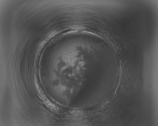 X0000085840145200703161400