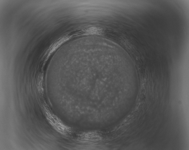 X0000085840146200703161400