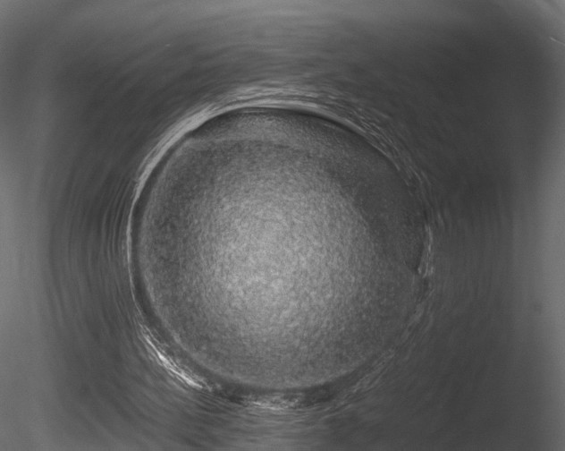 X0000085840148200703161400