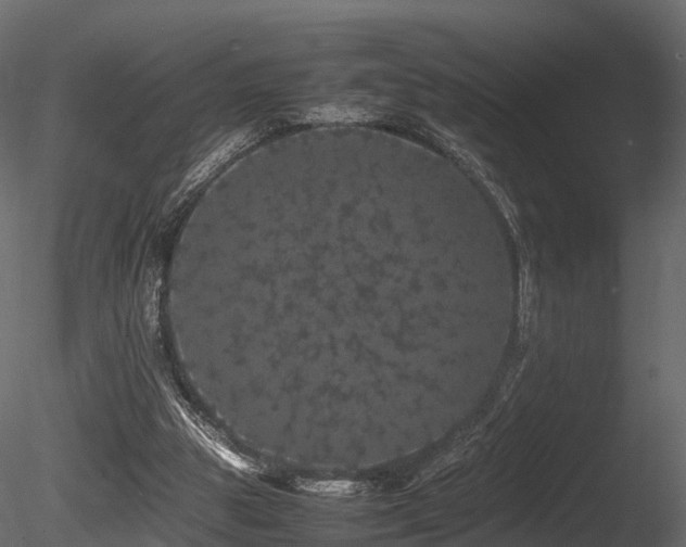 X0000085840153200703161400