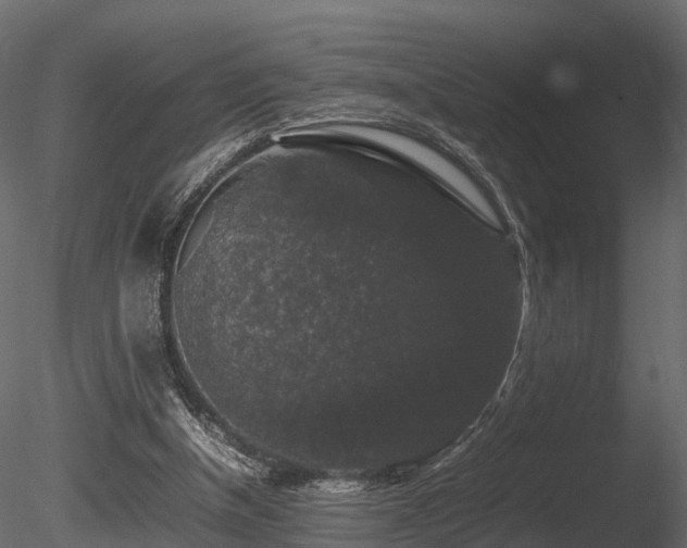 X0000085840154200703161400