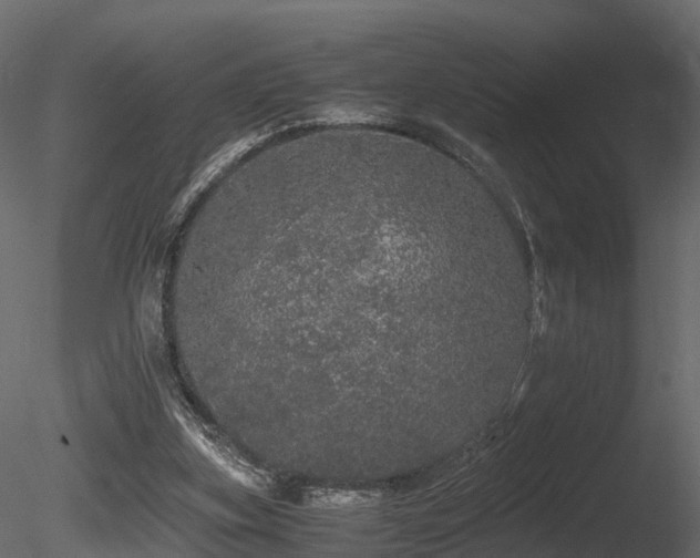 X0000085840155200703161400