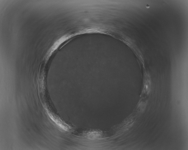 X0000085840156200703161400