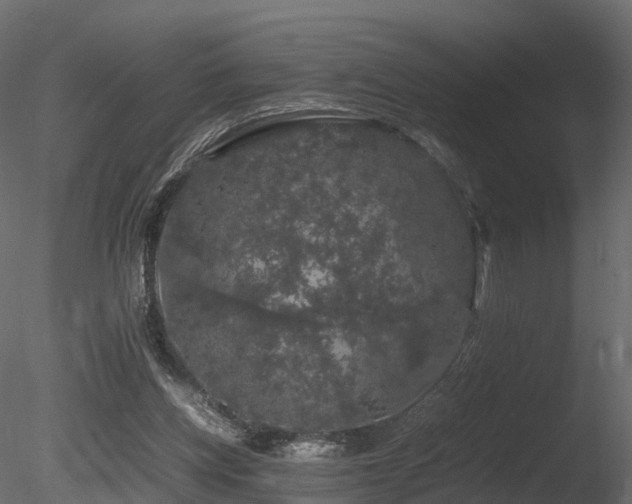 X0000085840158200703161400