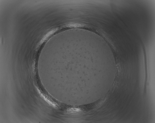 X0000085840159200703161400