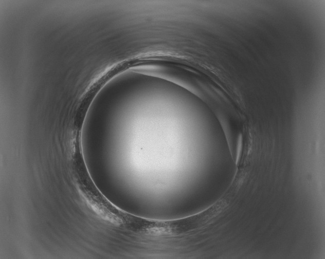 X0000085840160200703161400