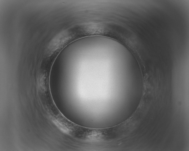 X0000085840162200703161400