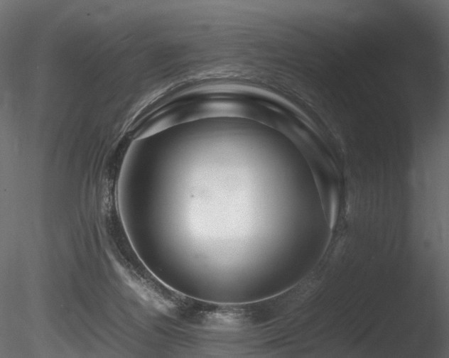 X0000085840164200703161400