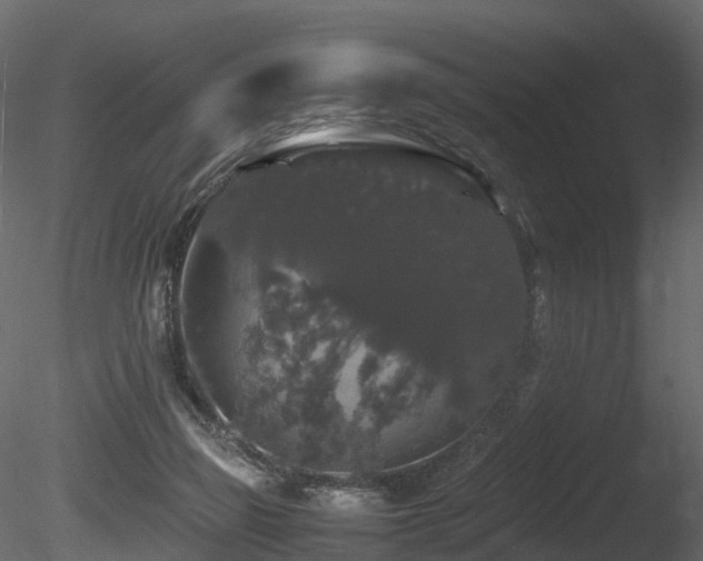 X0000085840165200703161400