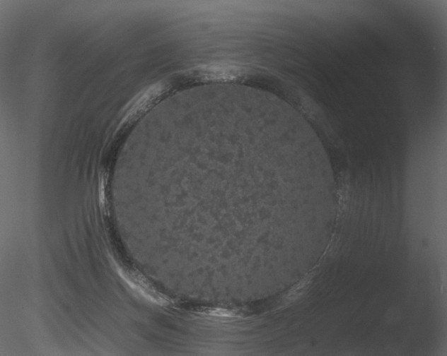 X0000085840166200703161400