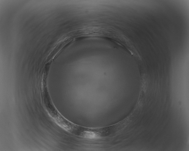 X0000085840167200703161400