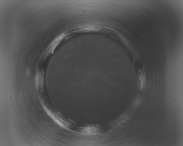 X0000085840168200703161400