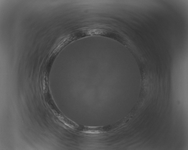 X0000085840169200703161400