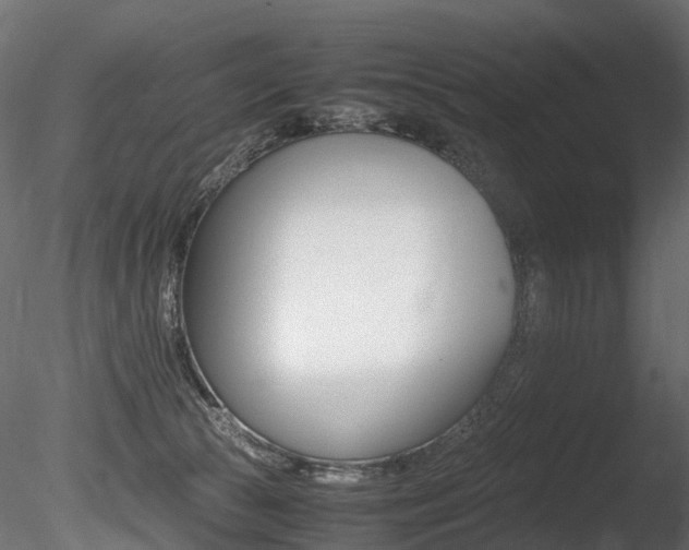 X0000085840177200703161400