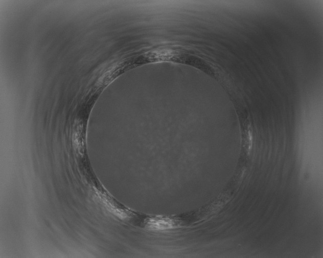 X0000085840181200703161400