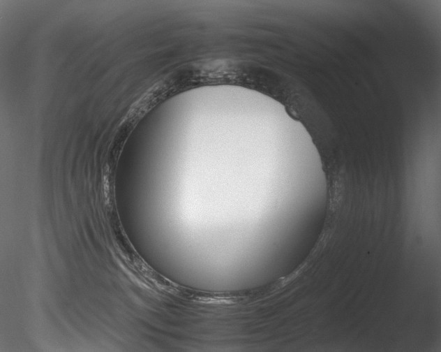 X0000085840183200703161400