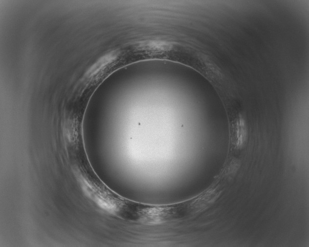 X0000085840184200703161400