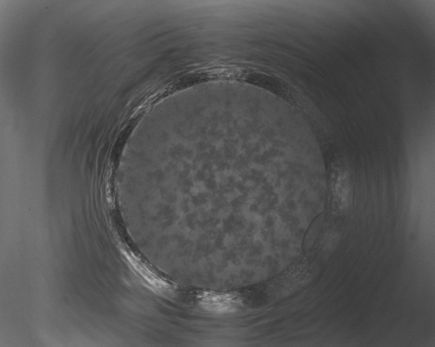 X0000085840185200703161400