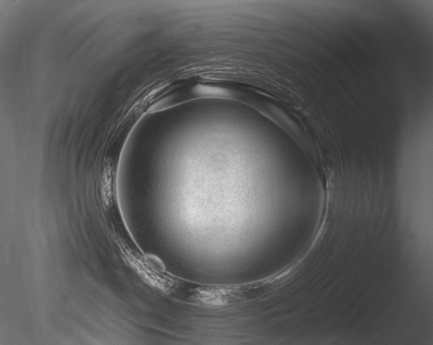 X0000085840190200703161401