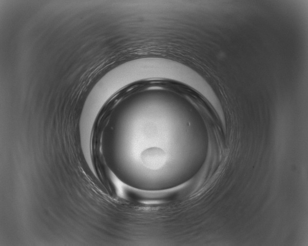 X0000085840192200703161401