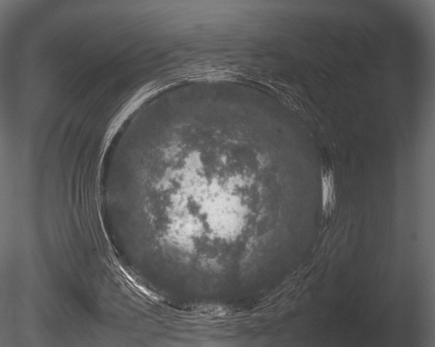 X0000085840195200703161400
