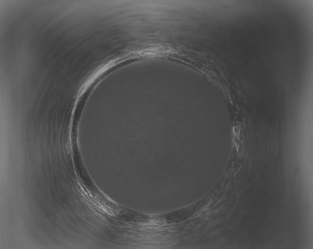 X0000085840196200703161400