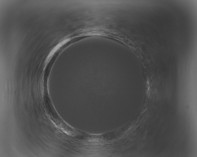 X0000085840200200703161400