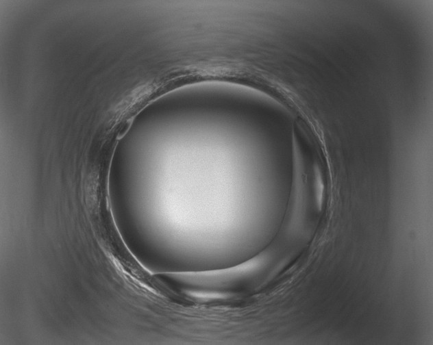 X0000085840201200703161400
