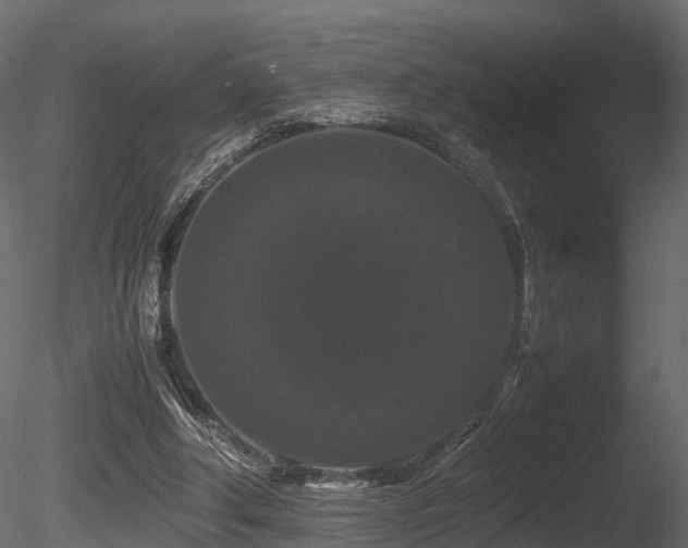 X0000085840202200703161400