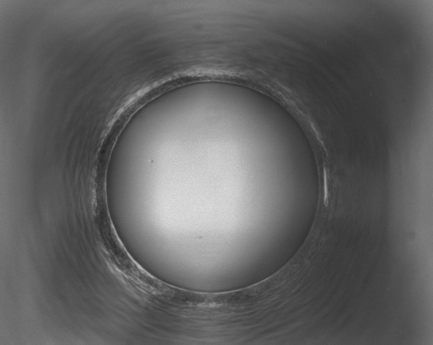 X0000085840204200703161359