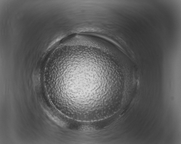 X0000085840207200703161359