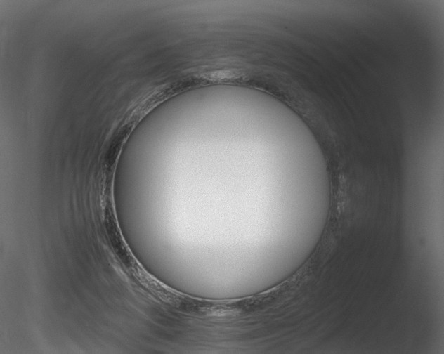 X0000085840210200703161359