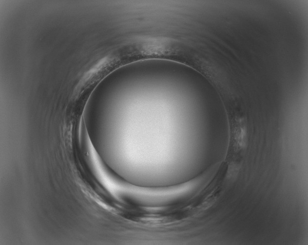 X0000085840211200703161359