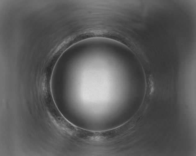 X0000085840212200703161359