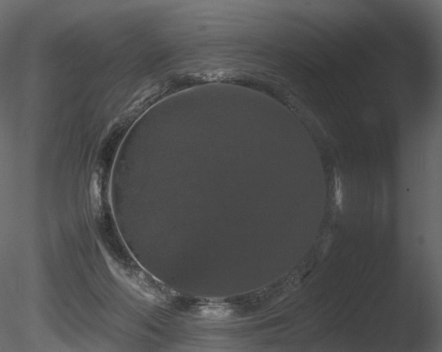 X0000085840214200703161359