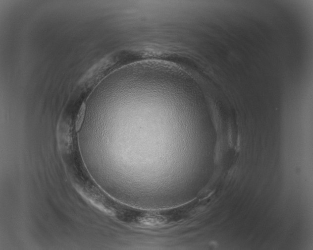 X0000085840215200703161359