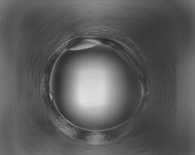 X0000085840217200703161359