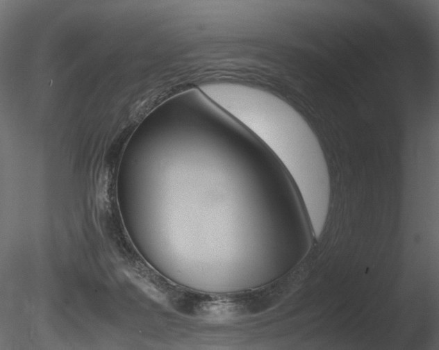 X0000085840219200703161359