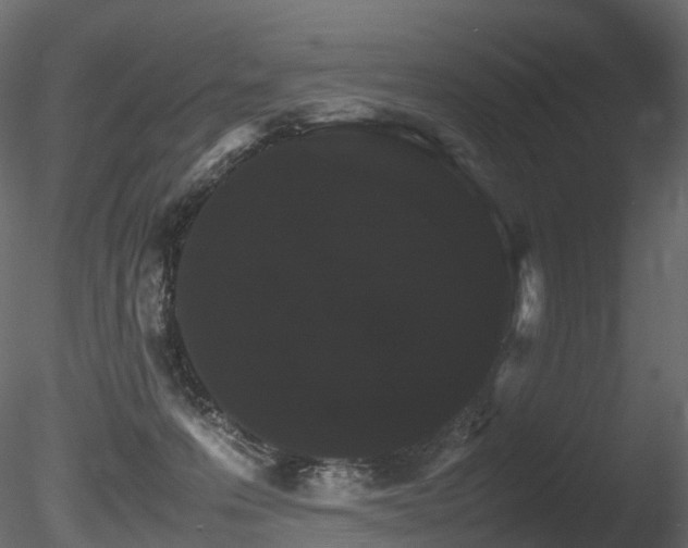 X0000085840223200703161359