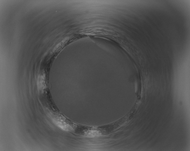 X0000085840224200703161359