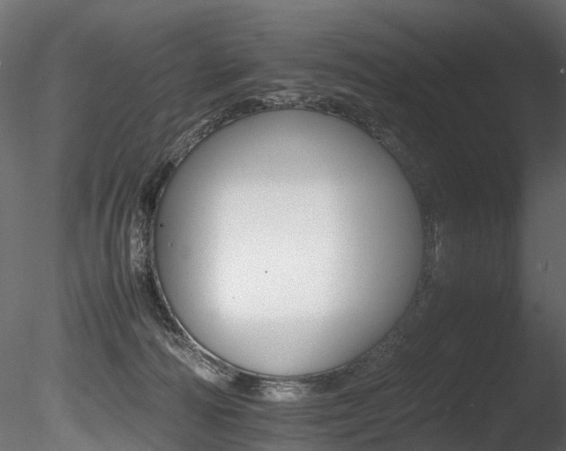 X0000085840226200703161359