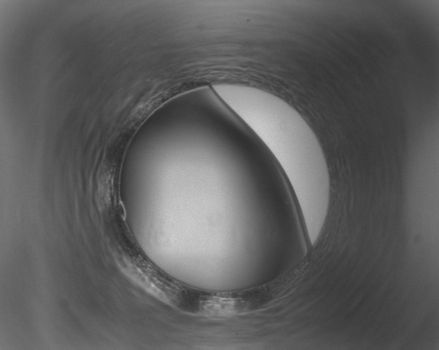 X0000085840227200703161359
