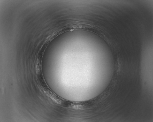 X0000085840228200703161359
