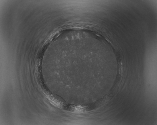 X0000085840229200703161359