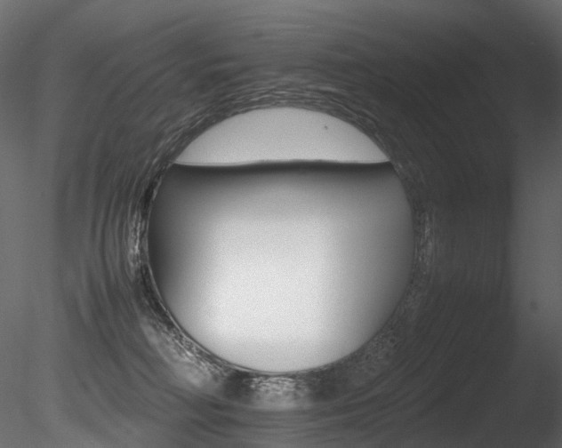 X0000085840230200703161359