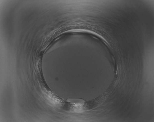 X0000085840233200703161359